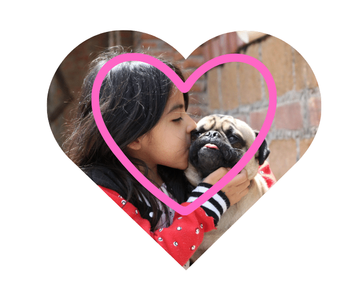 Human kissing a dog to show the bond between an owner and pet